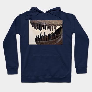 T-Rex Hoodie